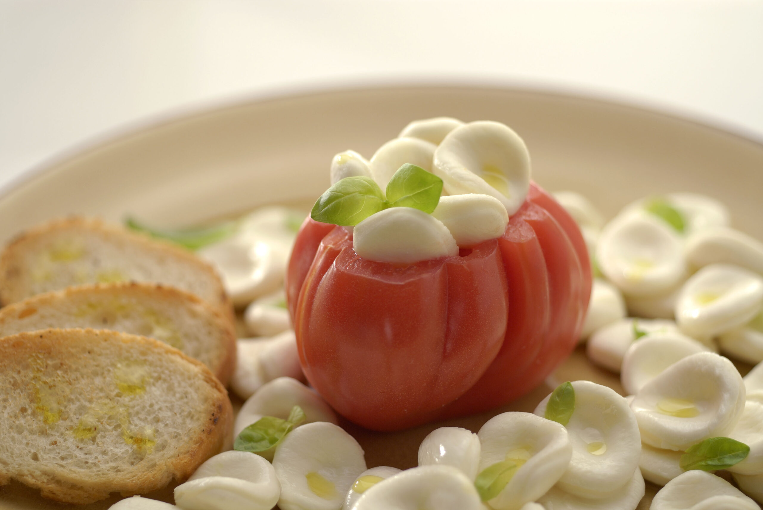 Fantasia di mozzarella alla caprese