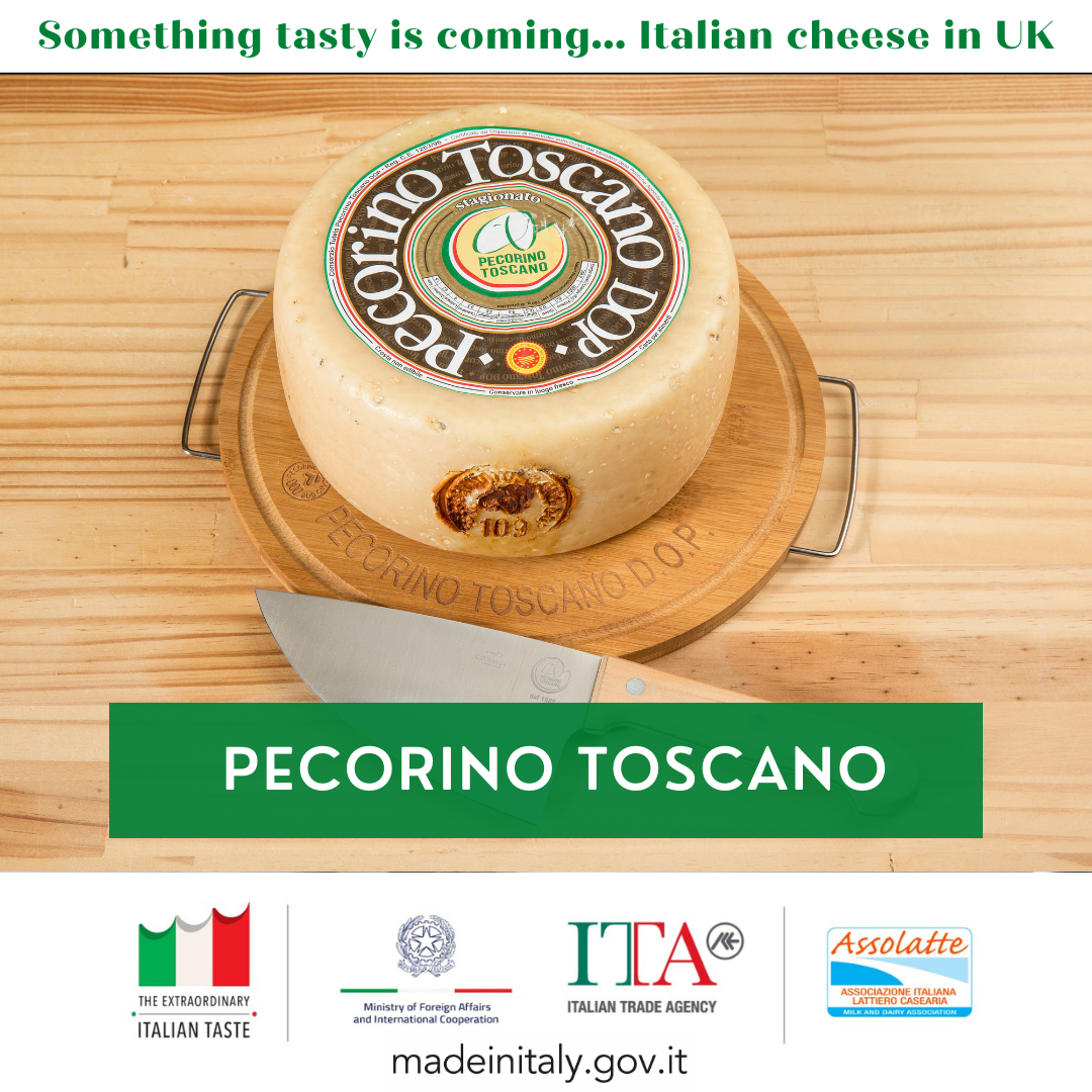 Pecorino toscano1 (1)