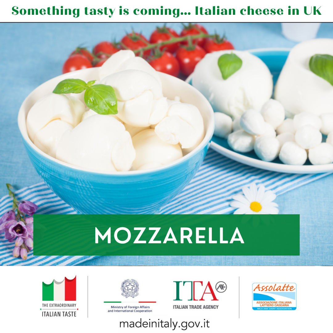 mozzarella1